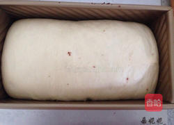 可可双色土司的做法图解11