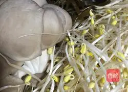 Illustration of how to make sauerkraut rice noodles 1