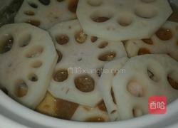 素菜牛肉砂锅的做法图解24