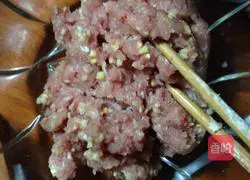 Illustration of two-color dumplings 4