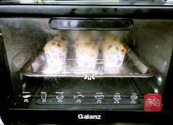 蔓越莓马芬蛋糕的做法图解13