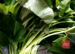 蒜蓉炒地瓜叶的做法图解1