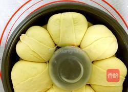 肉松面包的做法图解13