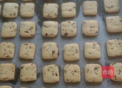 蔓越莓曲奇的做法图解9