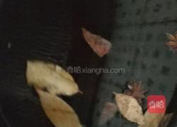 凉拌毛豆的做法图解2