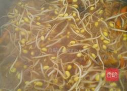 鸡肉焖面的做法图解6