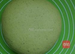 菠菜馒头的做法图解7