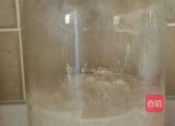 甜酒酿(醪糟)的做法图解6