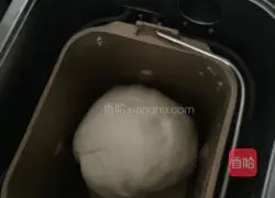 Beef and onion pie recipe 1