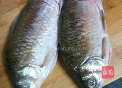 红烧野生鲫鱼的做法图解3