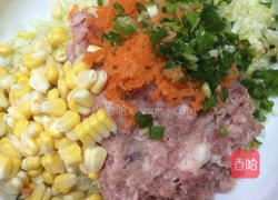 猪肉胡萝卜饺子的做法图解2