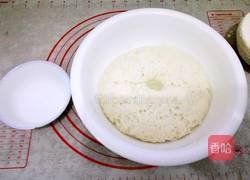 水煎包的做法图解5
