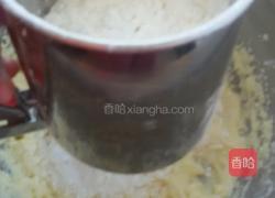 乳酪球的做法图解9