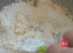 乳酪球的做法图解10