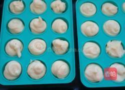 乳酪球的做法图解14