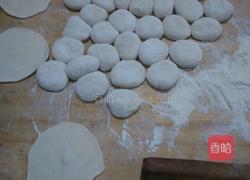 青萝卜猪肉水饺的做法图解9