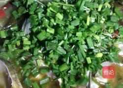 家庭版简易酸菜鱼的做法图解9
