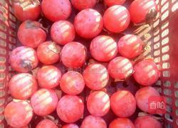 柿子饼的做法图解1