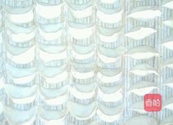萝卜韭菜肉饺子的做法图解6