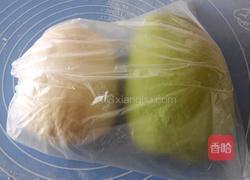 百财水饺的做法图解6