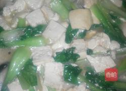 青菜炖豆腐的做法图解6