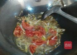 西红柿炒土豆丝的做法图解7