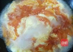 番茄蛋汤的做法图解5