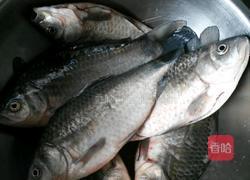 豆瓣鲫鱼的做法图解1
