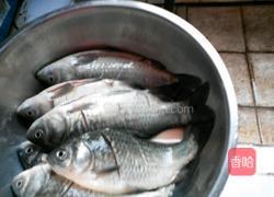 豆瓣鲫鱼的做法图解2
