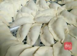 玉萝卜菇肉饺的做法图解8