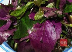 清炒紫贝菜的做法图解1