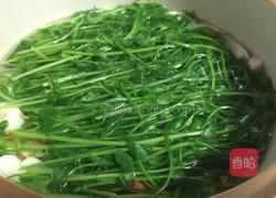 清清白白——豌豆苗豆腐汤的做法图解5