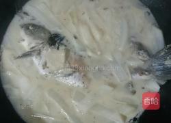 萝卜丝鲫鱼汤的做法图解5