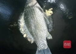 萝卜丝鲫鱼汤的做法图解2
