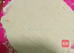 洋葱肉饼的做法图解7