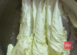 彩色饺子的做法图解5