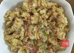 彩色饺子的做法图解8