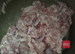 彩色饺子的做法图解7