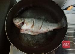 糖醋鲈鱼的做法图解5