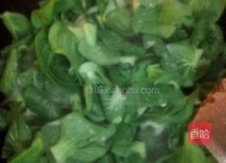 蚝油白菜的做法图解4