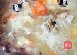 骨头粉葛红箩卜汤的做法图解8