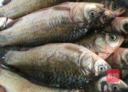 野生鲫鱼汤的做法图解1