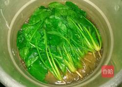 凉拌菠菜粉丝的做法图解4