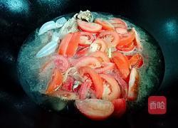 番茄鲫鱼汤的做法图解6