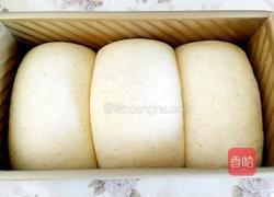 淡奶油全麦土司的做法图解9