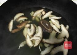 香菇烧油菜的做法图解4