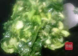 清炒青菜的做法图解3