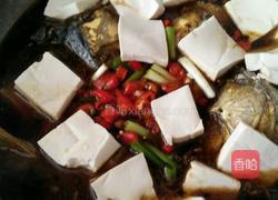 红烧鱼头的做法图解12