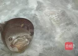 砂锅鲫鱼汤的做法图解10