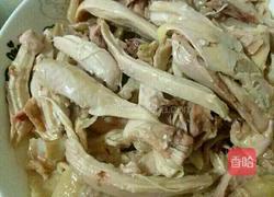 麻辣手撕鸡的做法图解3